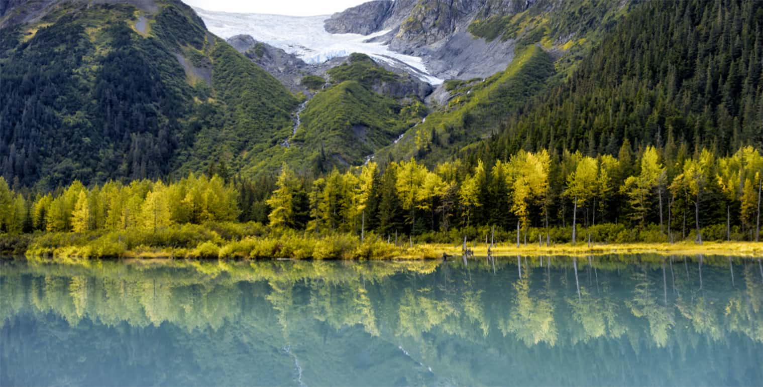 Water view with tall green trees and mountains.
